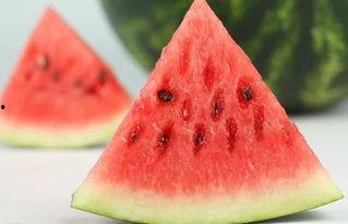 超长西瓜吃瓜,超长西瓜的吃瓜盛宴