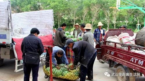 罗庄镇老师吃瓜事件,罗庄镇教师吃瓜事件引发社会关注