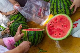 永安ktv吃瓜视频,揭秘娱乐场所幕后真相